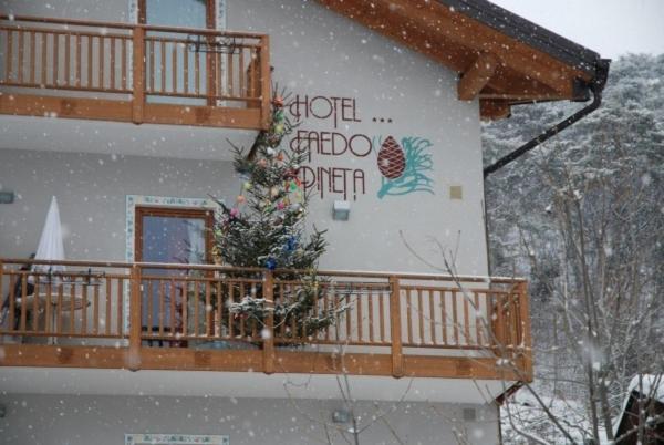 Hotel Faedo Pineta Room photo